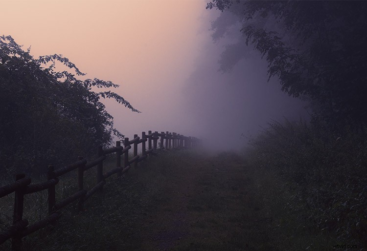 Craft Your Signature Photo Style: Master LUTs in Photoshop