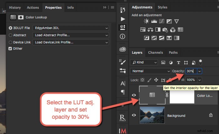 Craft Your Signature Photo Style: Master LUTs in Photoshop