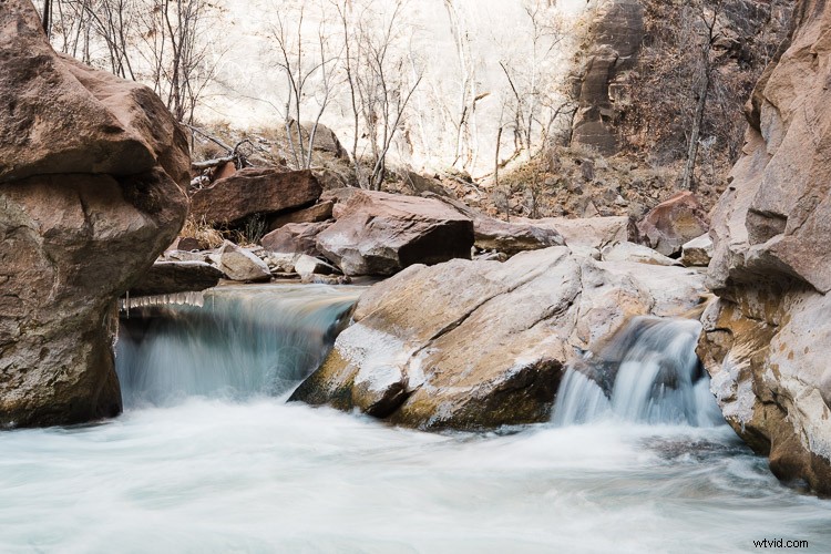 RAW vs JPEG: Expert Tips for Choosing the Best File Format