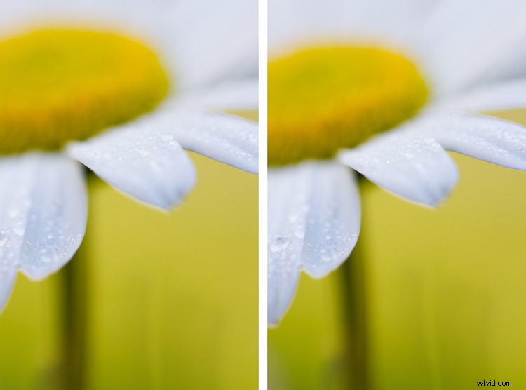 Master Post-Processing: 6 Essential Steps for Every Photography Workflow