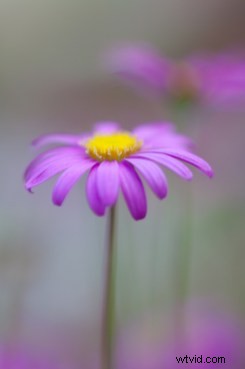 Master Post-Processing: 6 Essential Steps for Every Photography Workflow