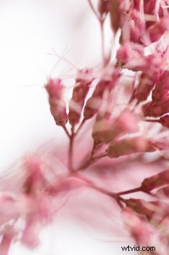 Master Post-Processing: 6 Essential Steps for Every Photography Workflow