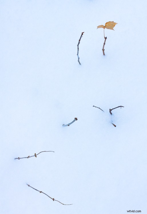 Master Post-Processing: 6 Essential Steps for Every Photography Workflow