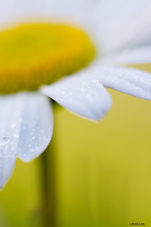 Master Post-Processing: 6 Essential Steps for Every Photography Workflow