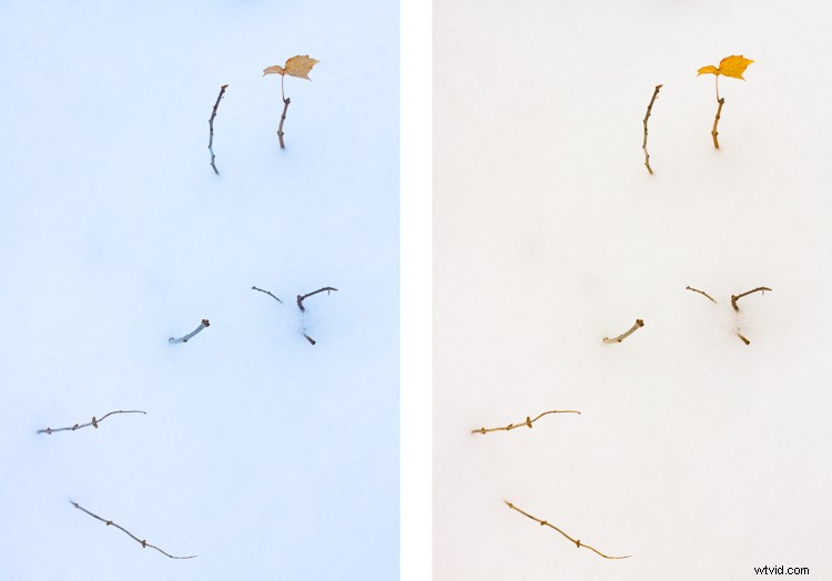 Master Post-Processing: 6 Essential Steps for Every Photography Workflow