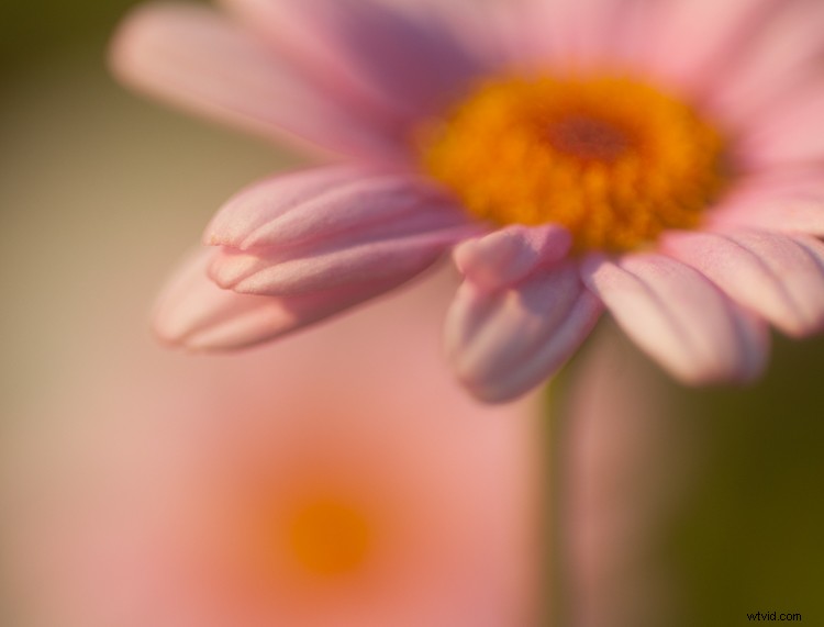 Master Post-Processing: 6 Essential Steps for Every Photography Workflow