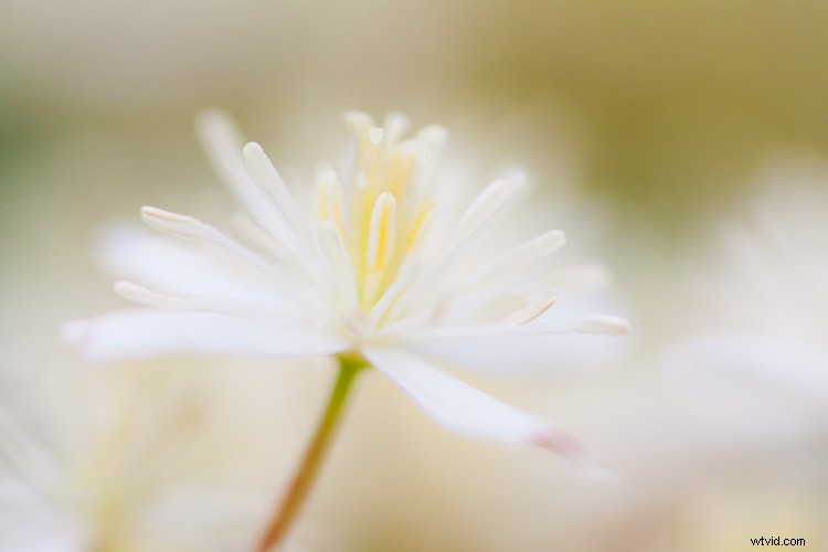 Master Post-Processing: 6 Essential Steps for Every Photography Workflow