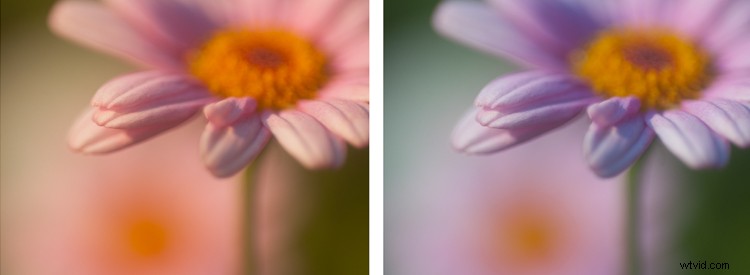 Master Post-Processing: 6 Essential Steps for Every Photography Workflow