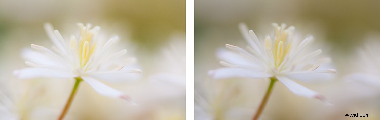 Master Post-Processing: 6 Essential Steps for Every Photography Workflow