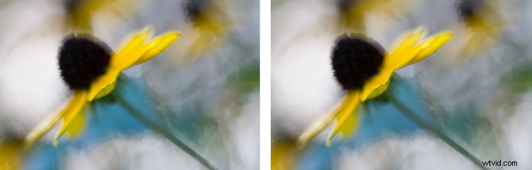 Master Post-Processing: 6 Essential Steps for Every Photography Workflow