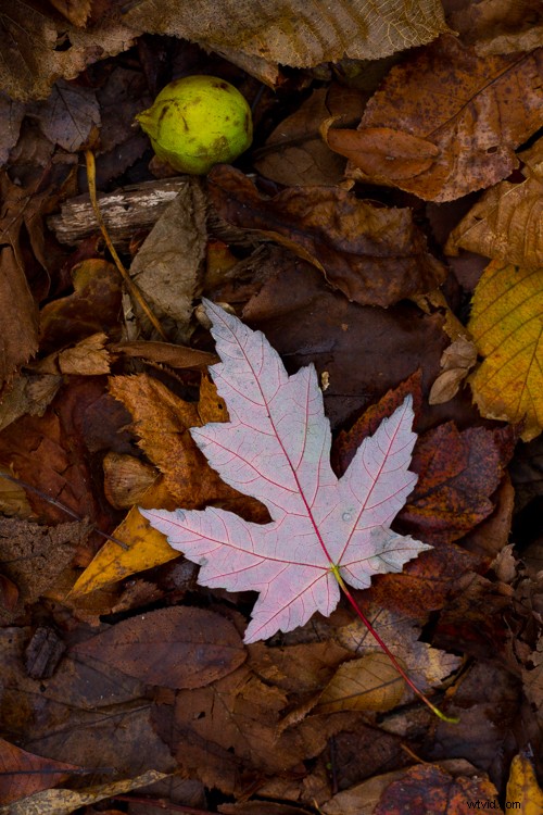 Master Post-Processing: 6 Essential Steps for Every Photography Workflow