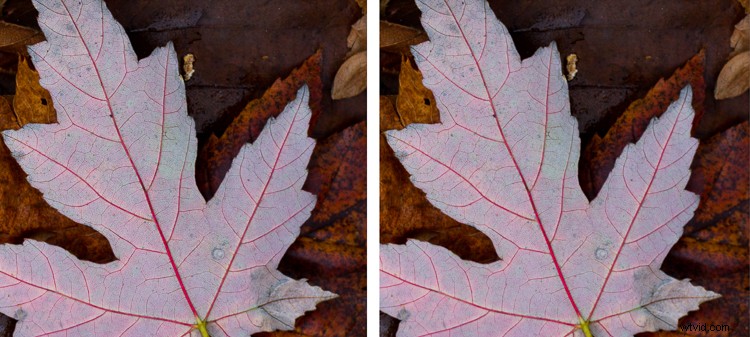 Master Post-Processing: 6 Essential Steps for Every Photography Workflow