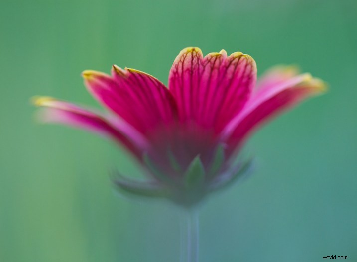 Master Post-Processing: 6 Essential Steps for Every Photography Workflow