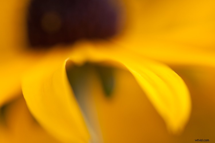 Master Post-Processing: 6 Essential Steps for Every Photography Workflow