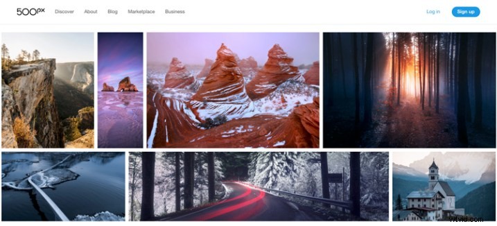 Free vs. Paid Photography Portfolio Websites: Which is Best for Your Photography Career?