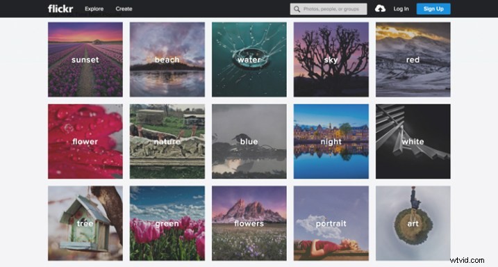 Free vs. Paid Photography Portfolio Websites: Which is Best for Your Photography Career?