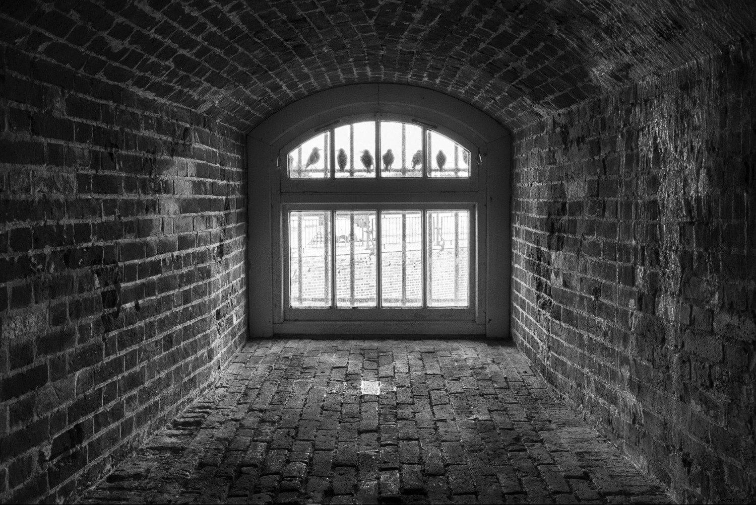 Expert Composition Techniques: Guide the Viewer s Eye Through Your Photographs