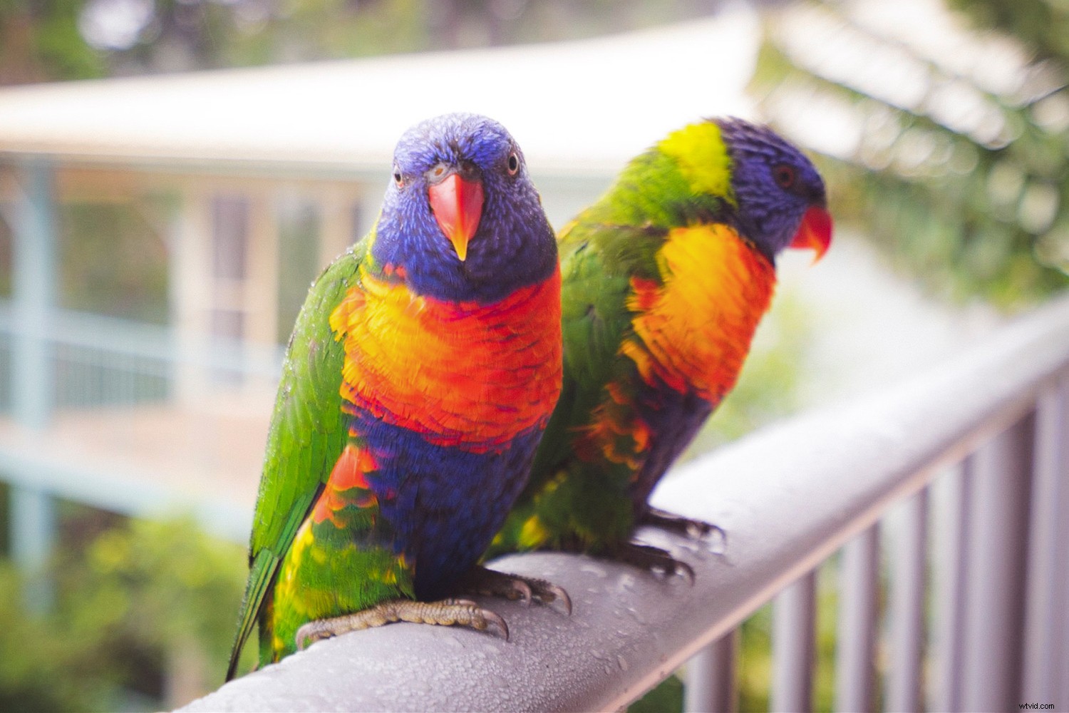 Expert Composition Techniques: Guide the Viewer s Eye Through Your Photographs