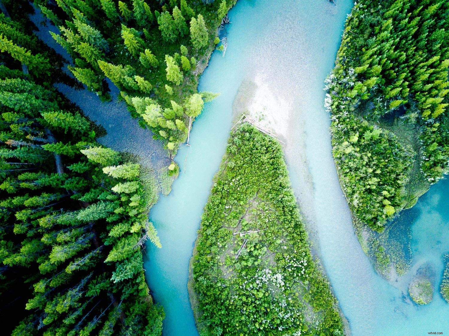 Master Drone Photography: Pro Tips to Elevate Every Image You Capture