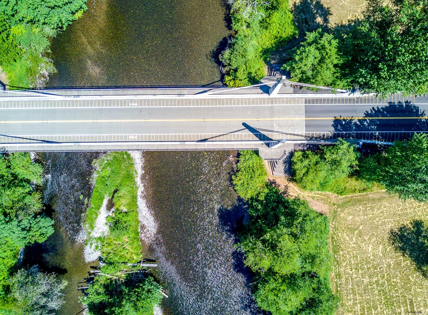 Master Drone Photography: Pro Tips to Elevate Every Image You Capture