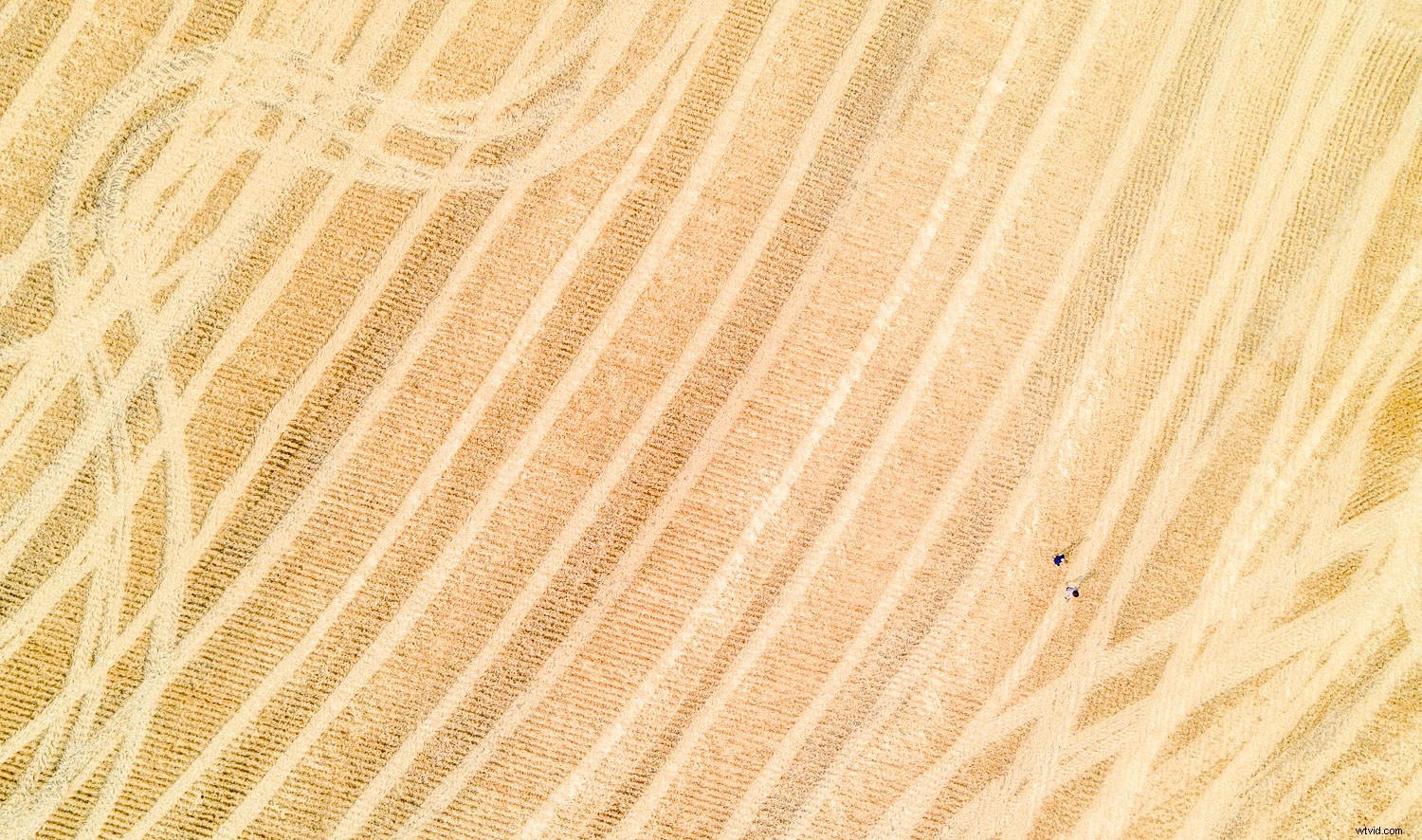 Master Drone Photography: Pro Tips to Elevate Every Image You Capture