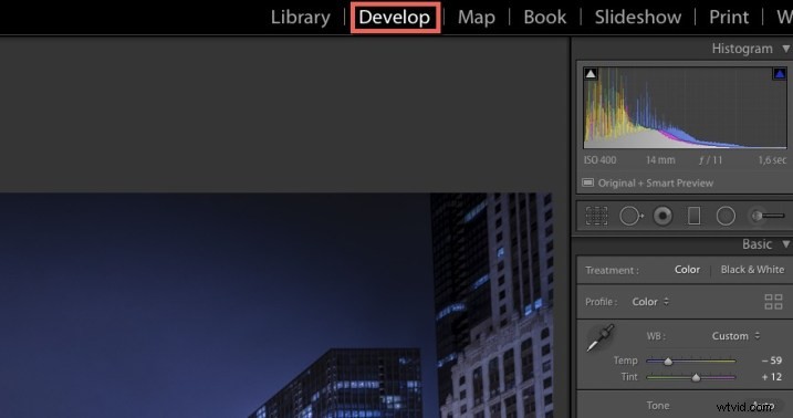 Master Selective Color: Create Stunning, Dynamic Images Effortlessly