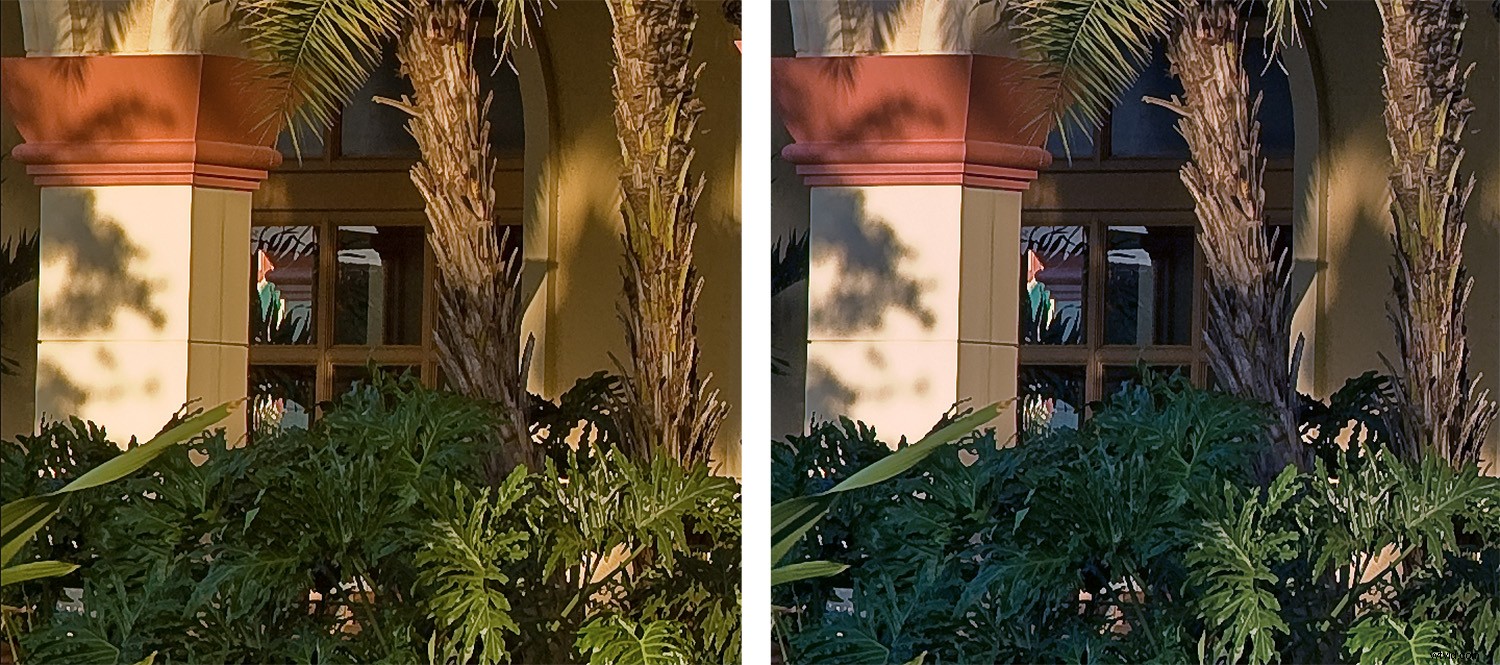 Why Incorrect Color Balance Ruins Your Photos: Gray vs. White Balance Explained