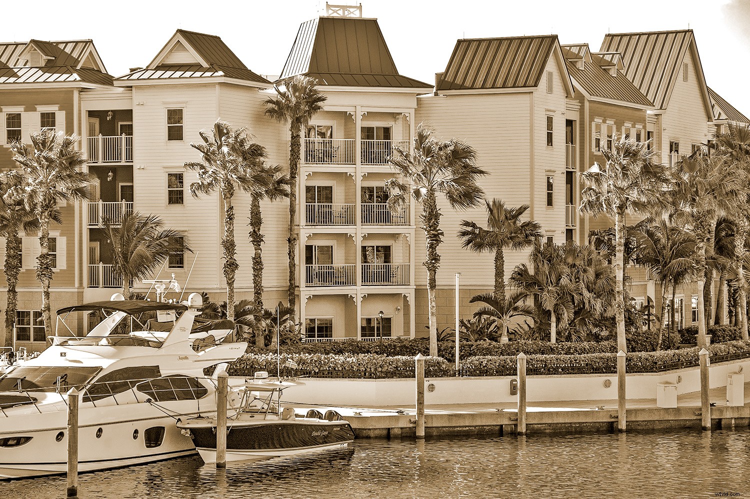 Master True Photography Skills: Beyond Camera Tricks and Auto Features