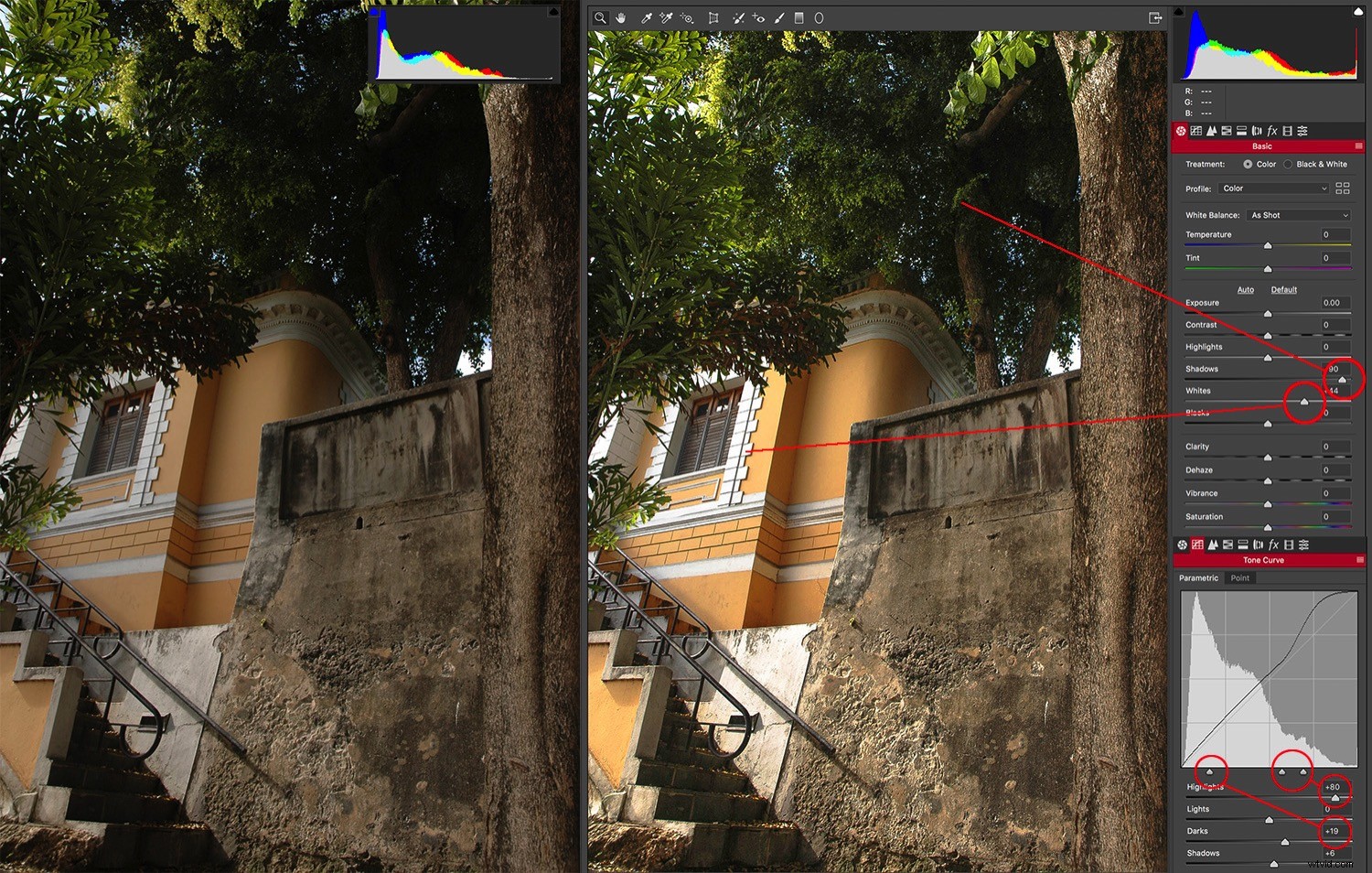 Master True Photography Skills: Beyond Camera Tricks and Auto Features