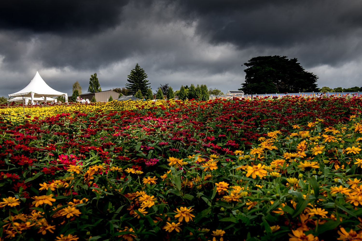 Advanced Time-Lapse Photography: Techniques Beyond the Basics