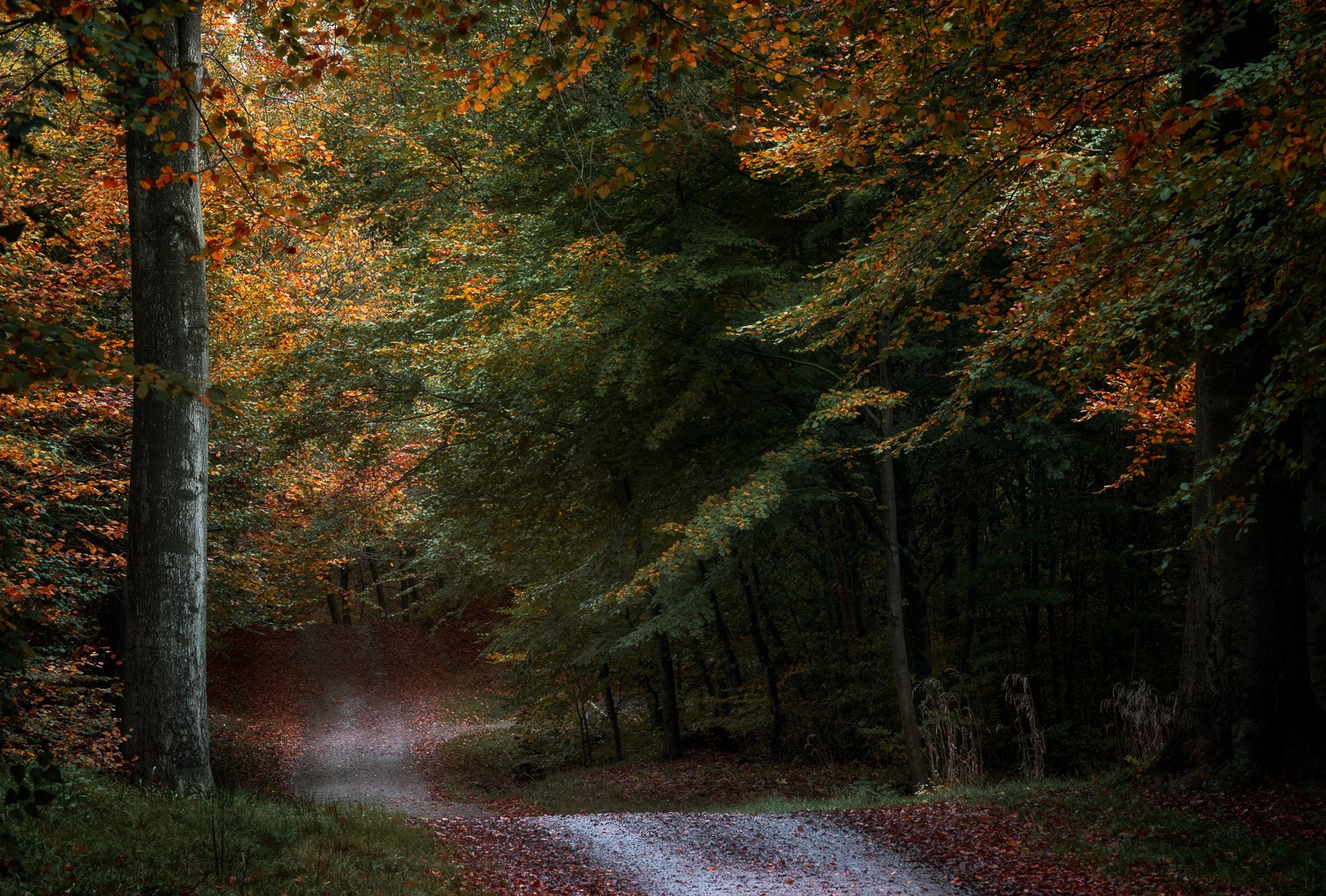 Why Avoid Small Apertures Like f/18 to f/40? Key Photography Insights