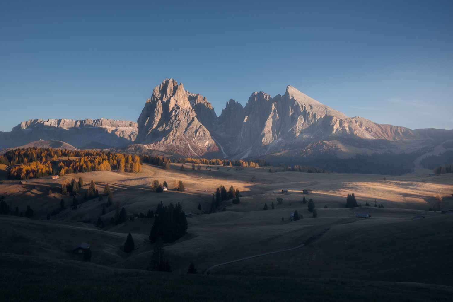 4 Critical Post-Processing Mistakes to Avoid for Flawless Photos