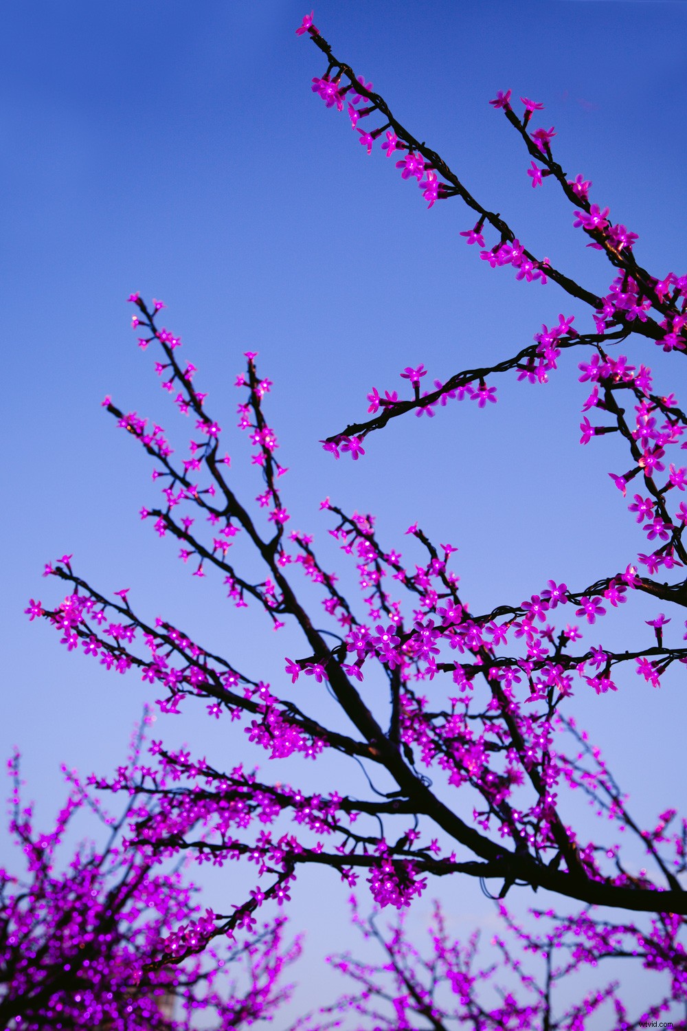 Master Low-Light Photography: Essential Tips for Sharp, Stunning Shots