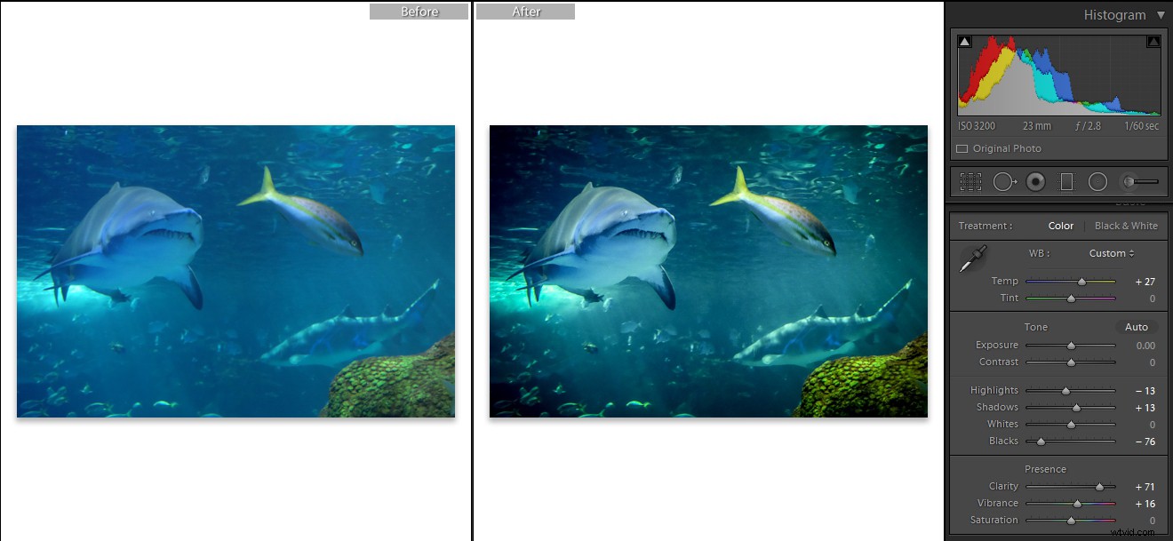 Capture Stunning Clear & Creative Aquarium Photos: Pro Low-Light Tips + Lightroom Edits