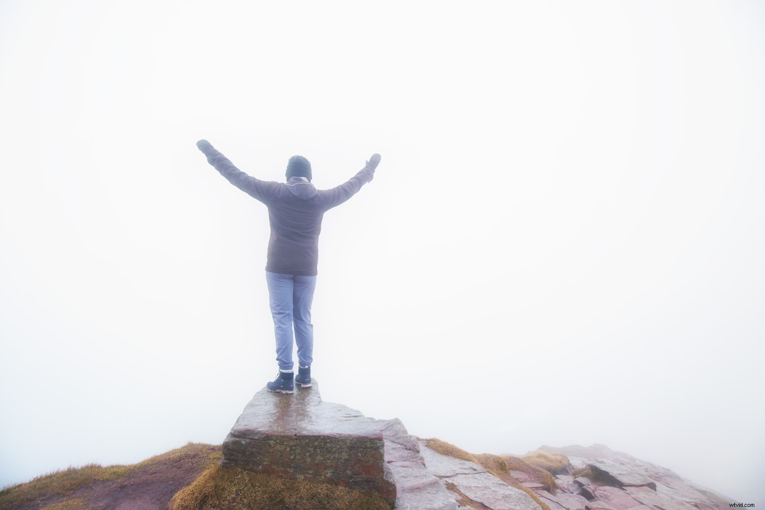 Master the Luminous Look: Pro Techniques to Elevate Your Photographs