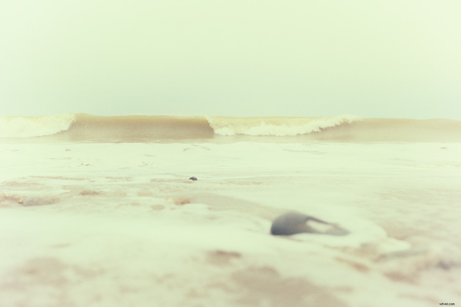 Master the Luminous Look: Pro Techniques to Elevate Your Photographs