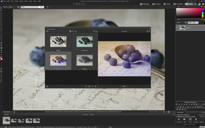 Discover Powerful Photo Editing Tools in ACDSee Photo Studio Ultimate 2018