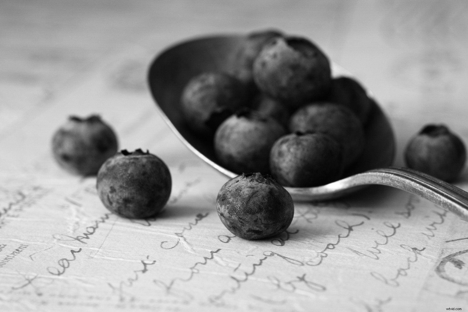 Discover Powerful Photo Editing Tools in ACDSee Photo Studio Ultimate 2018