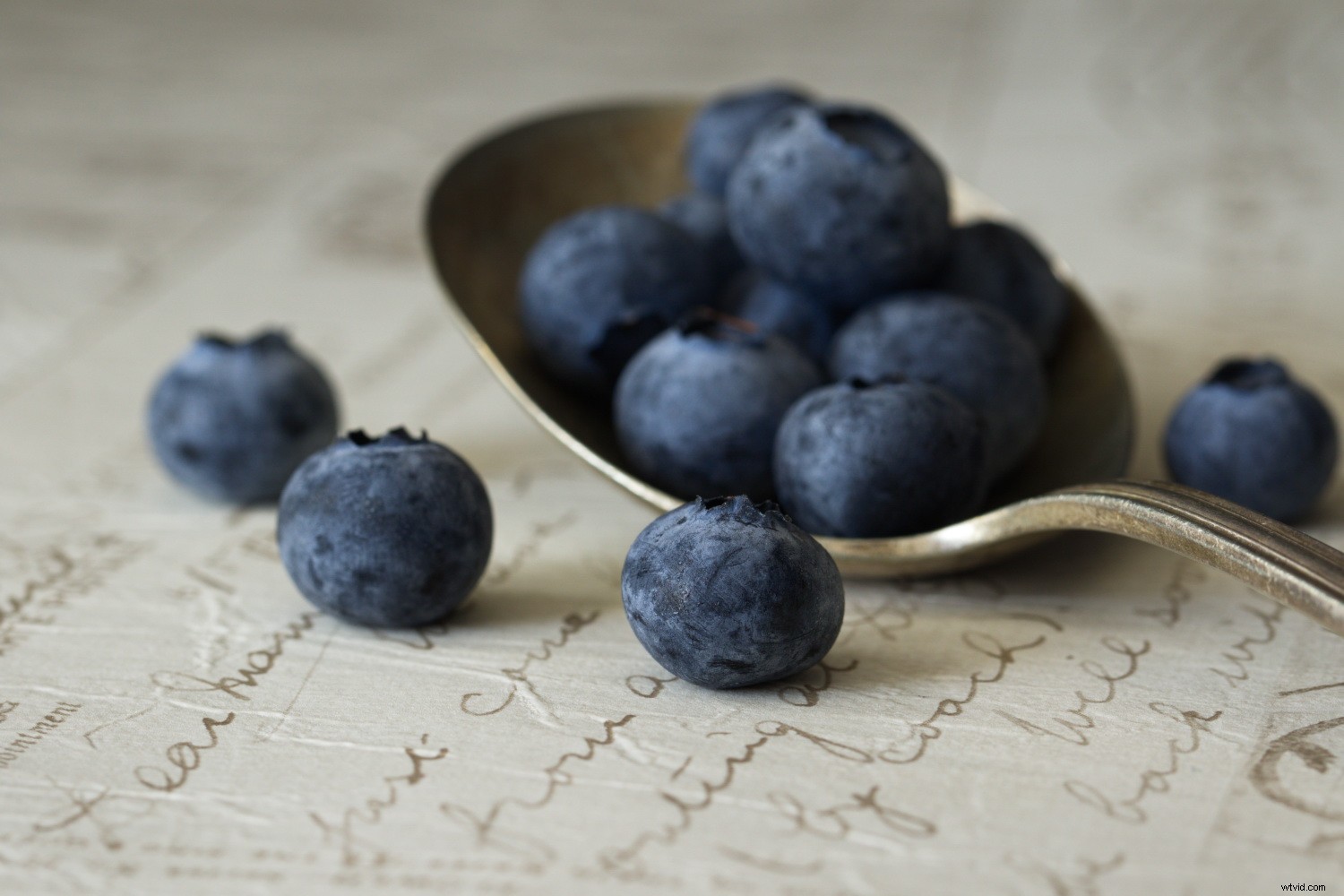 Discover Powerful Photo Editing Tools in ACDSee Photo Studio Ultimate 2018