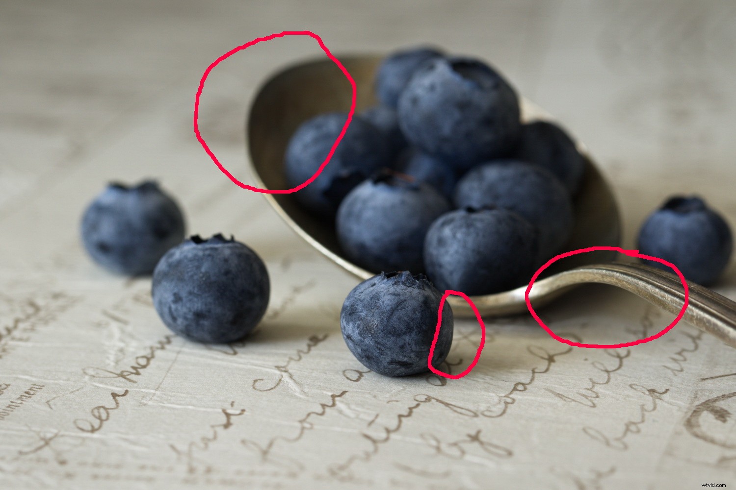 Discover Powerful Photo Editing Tools in ACDSee Photo Studio Ultimate 2018