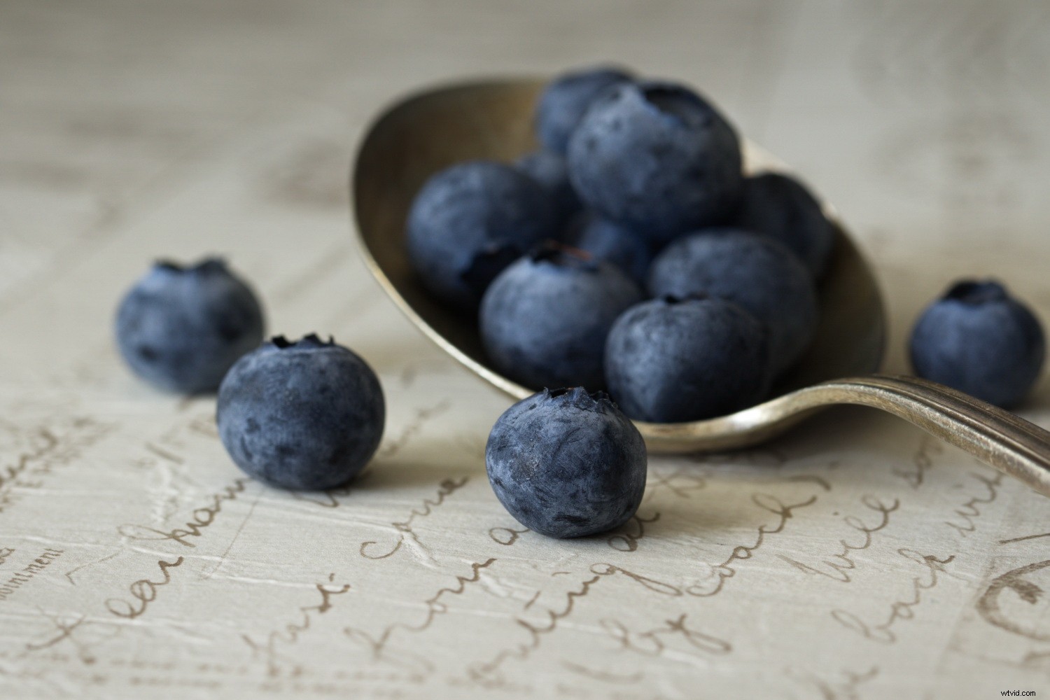 Discover Powerful Photo Editing Tools in ACDSee Photo Studio Ultimate 2018