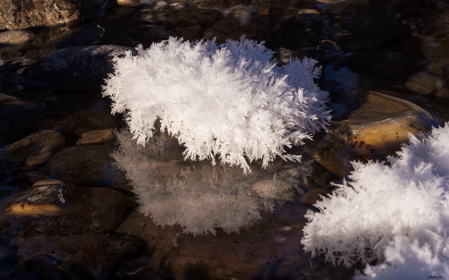 Master Luminosity Masks in Photoshop Effortlessly with Lumenzia