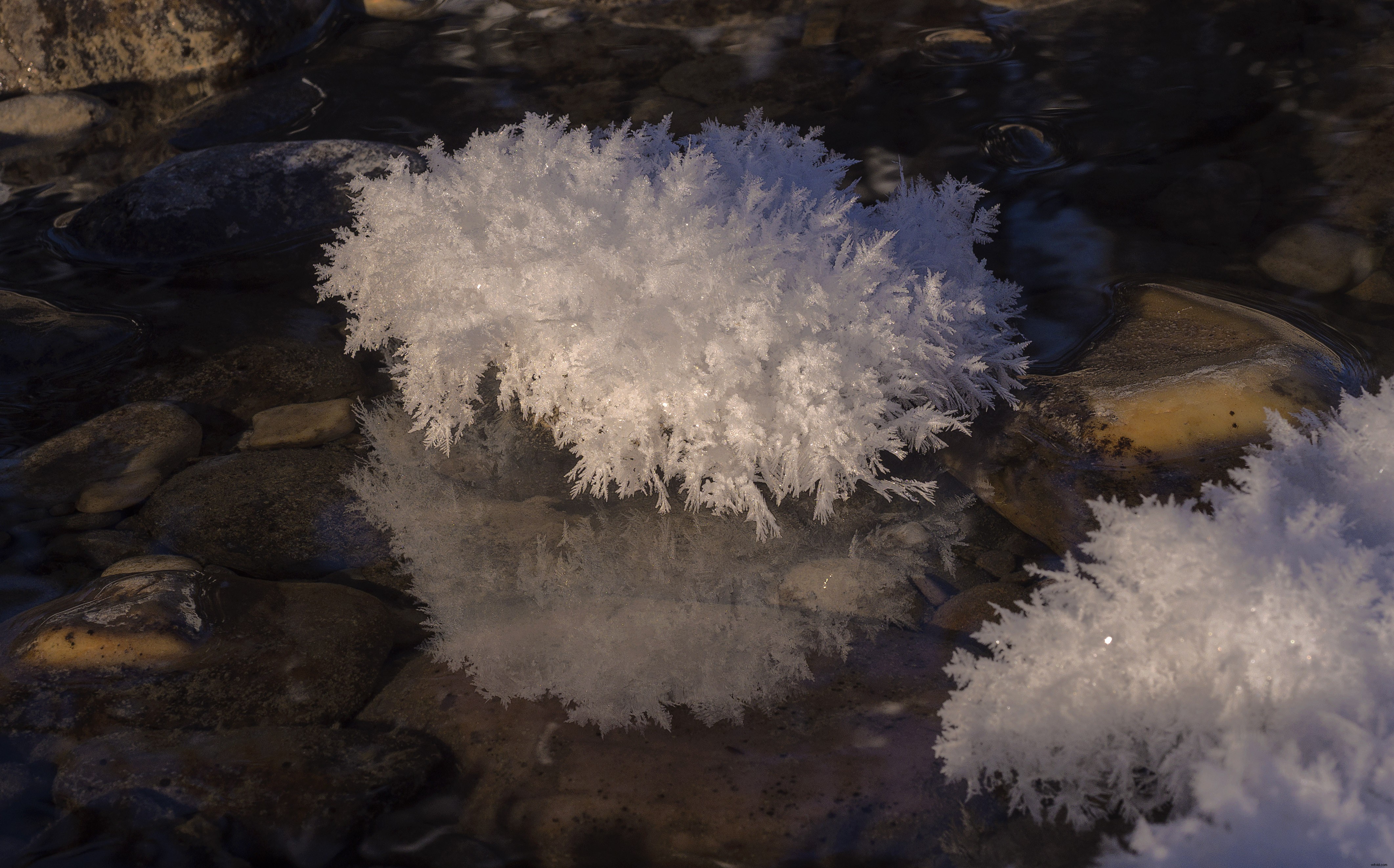 Master Luminosity Masks in Photoshop Effortlessly with Lumenzia