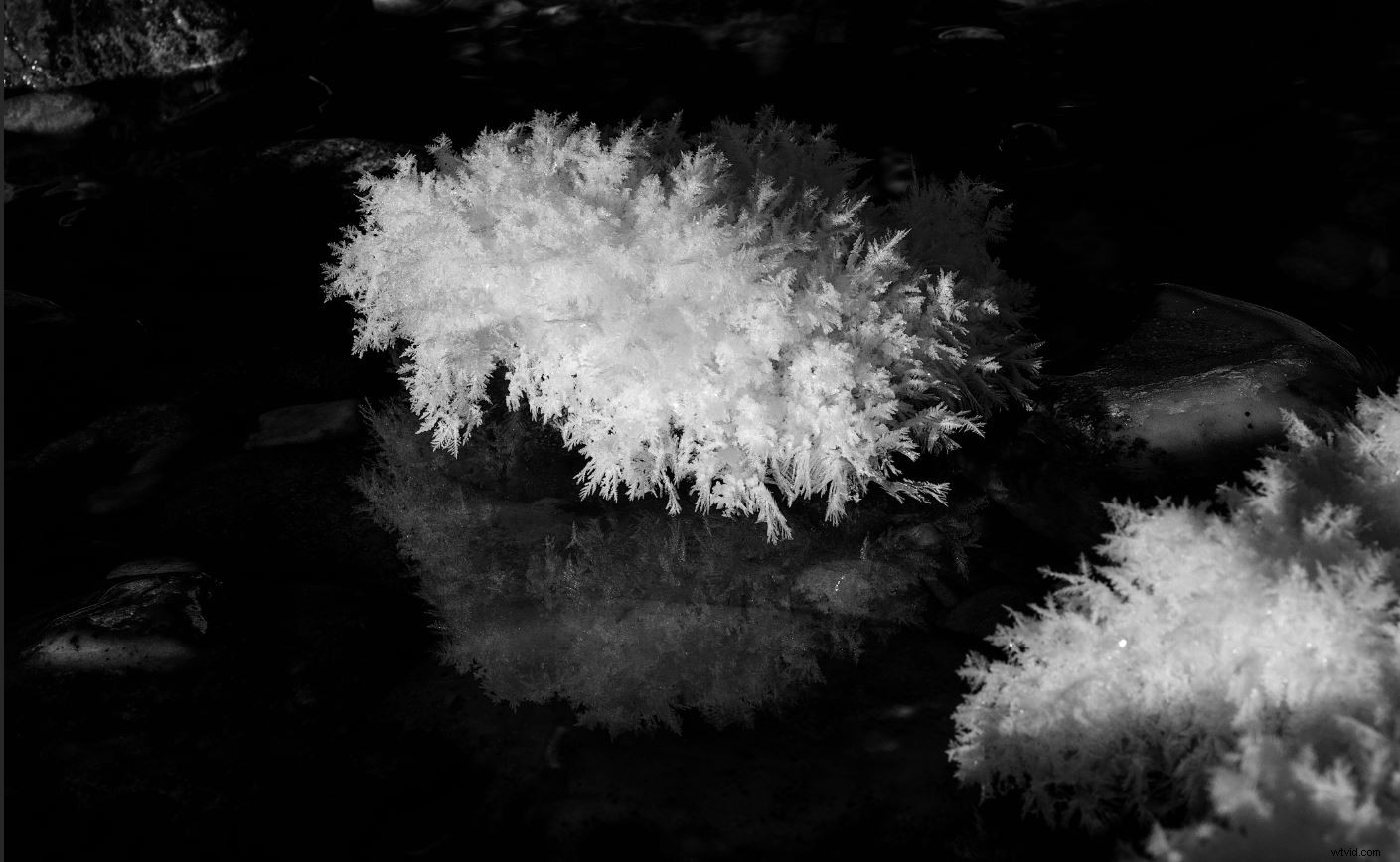 Master Luminosity Masks in Photoshop Effortlessly with Lumenzia