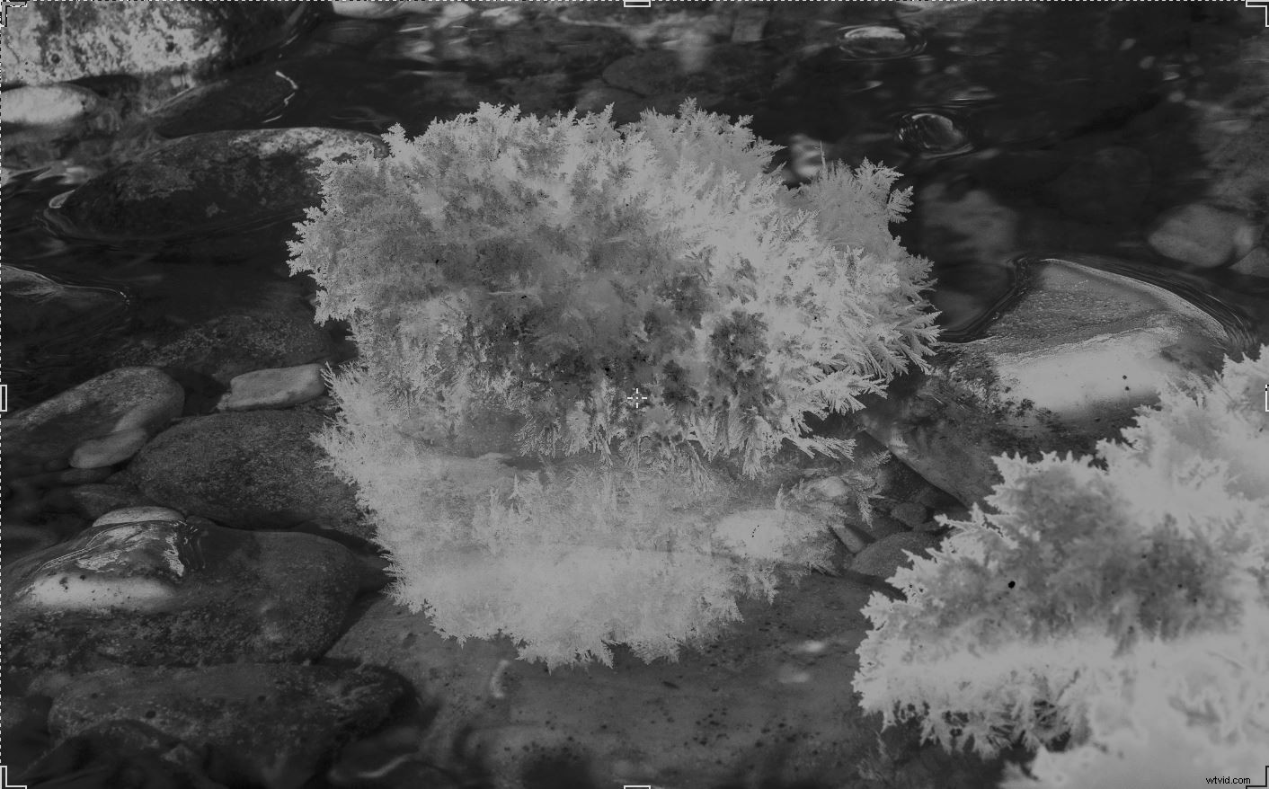 Master Luminosity Masks in Photoshop Effortlessly with Lumenzia