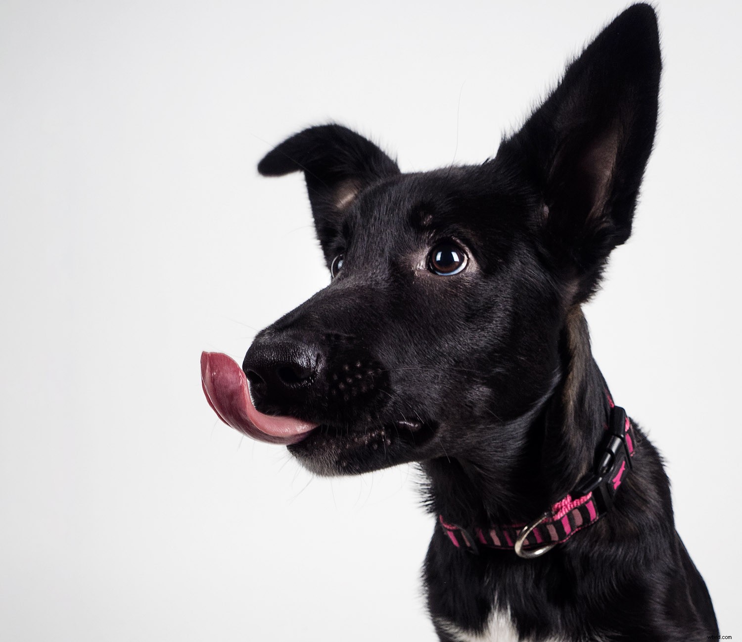 Master Luminosity Masks in Photoshop Effortlessly with Lumenzia