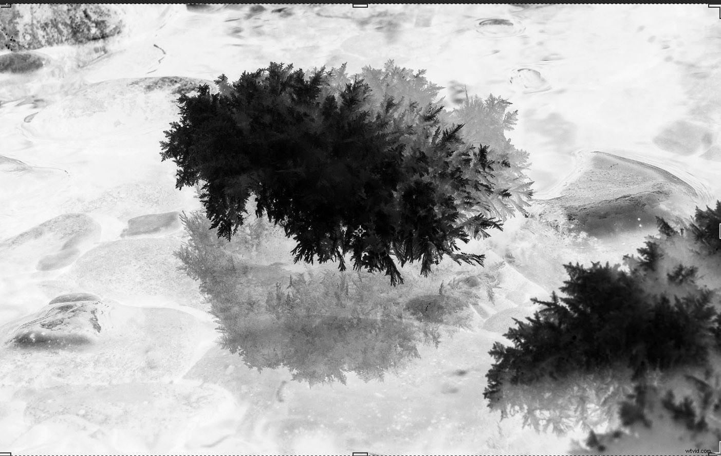 Master Luminosity Masks in Photoshop Effortlessly with Lumenzia