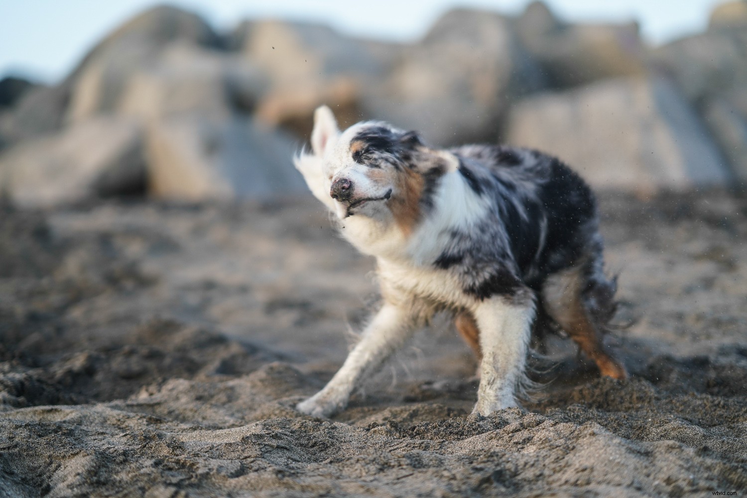 Sony FE 85mm f/1.4 GM Lens Review: Pro Portrait Powerhouse