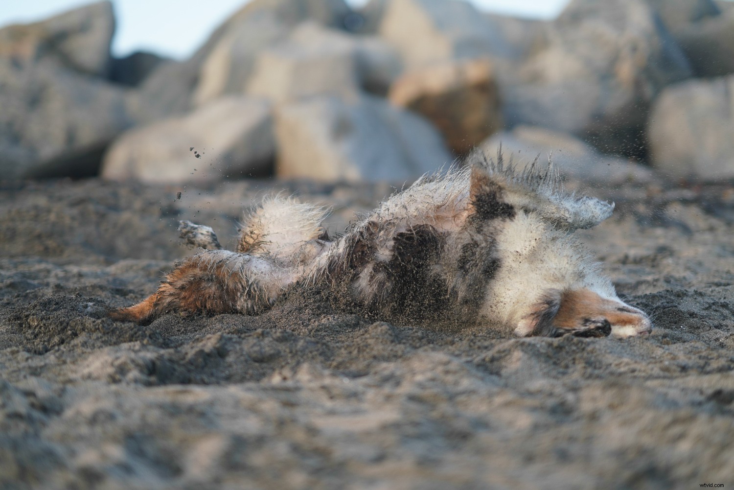 Sony FE 85mm f/1.4 GM Lens Review: Pro Portrait Powerhouse