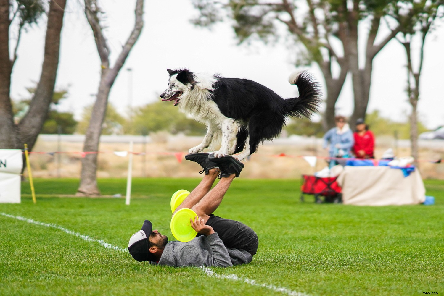 Sony FE 85mm f/1.4 GM Lens Review: Pro Portrait Powerhouse